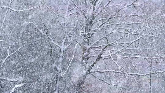 冬季大雪