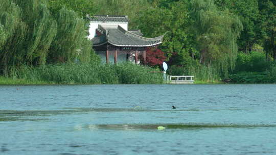 武汉硚口区园博园风景