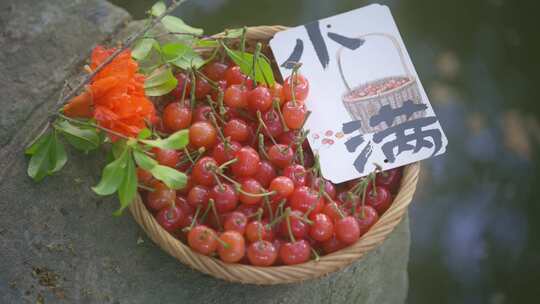 小满节气小清新空镜