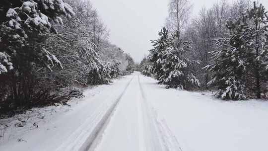 被雪覆盖的森林的跟踪拍摄