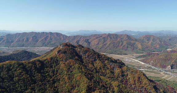 秋季山区枫红柞黄景色