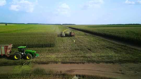 乌克兰绿色联合收割机切割玉米作为青贮饲料