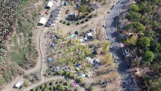 武汉江汉区藏龙岛湿地公园航拍