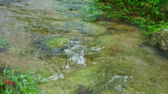 清澈干净小溪流水山泉水水资源