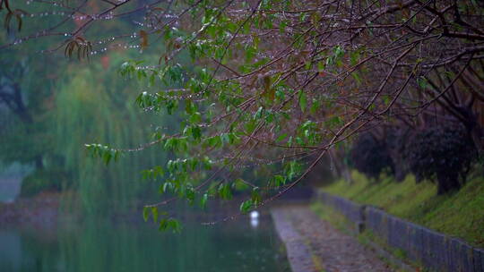 唯美的湖畔雨景美景