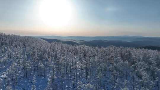 大兴安岭原始森林高山雾凇