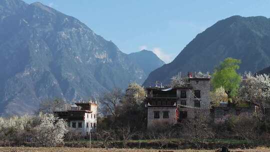 乡村风景丹巴藏寨梨花开