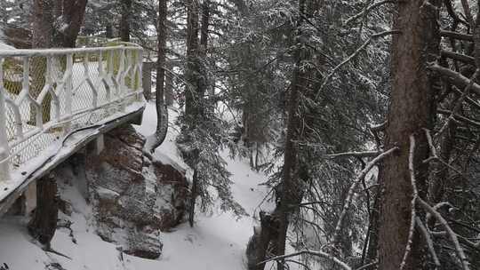 贺兰山金顶雪景视频 (24)