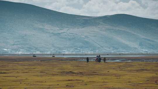 云南香格里拉纳帕海草原骑马游客升格视频