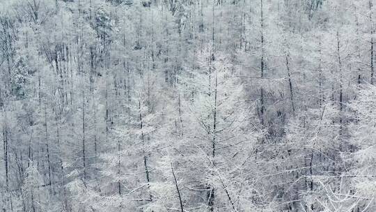 冬天唯美雪景