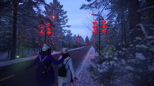 冬季北极村 冬季北极村的雪景与夜景