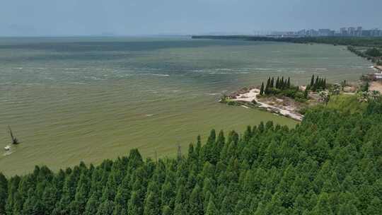 云南昆明滇池捞鱼河湿地公园航拍自然景观