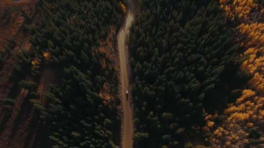 汽车行驶在林间公路、山间公路
