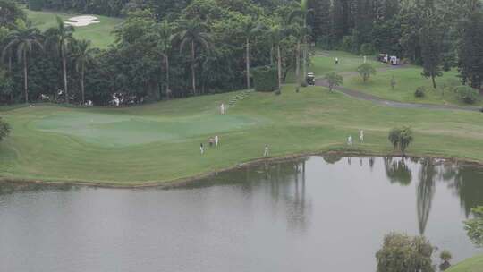 【4K50帧】深圳高端高尔夫球场绿茵草地