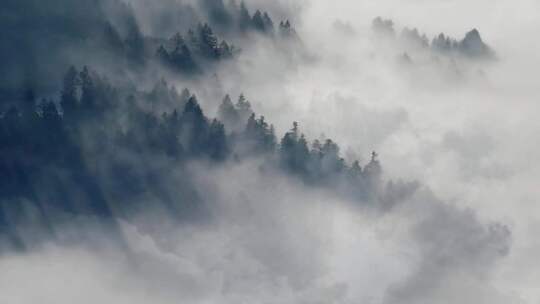 山间云雾蒸腾环绕山林 松雾