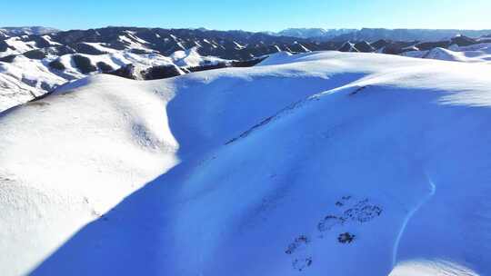 4k航拍冬季雪后祁连山草原