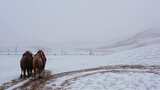 敦煌鸣沙山月牙泉冬天雪景航拍高清在线视频素材下载