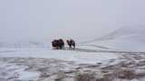 敦煌鸣沙山月牙泉冬天雪景航拍高清在线视频素材下载