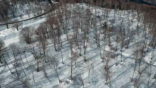 Road， Snow，Drone，意大利