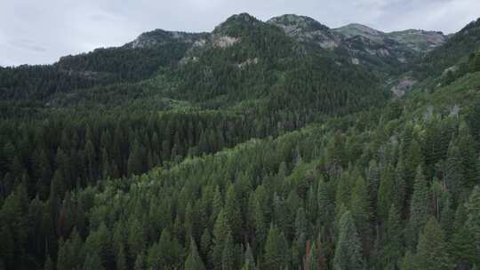 航拍山林风景