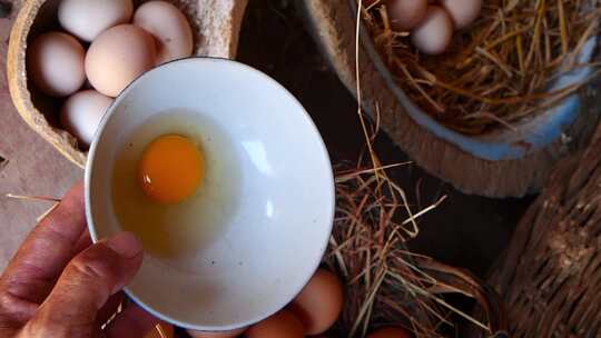 土鸡蛋 散养土鸡蛋 农家土鸡蛋
