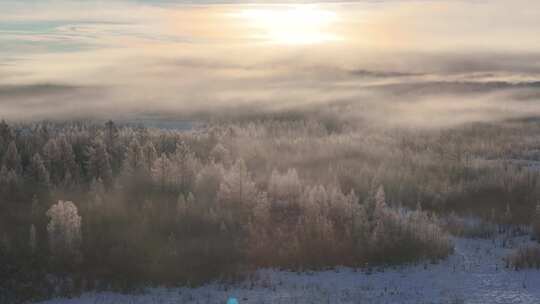 航拍林海雪原云雾弥漫山林雾凇2241102 (7)