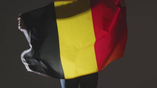 手持比利时国旗的球迷