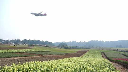 农田上空飞行的飞机