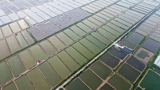 航拍养鱼池养殖场全景