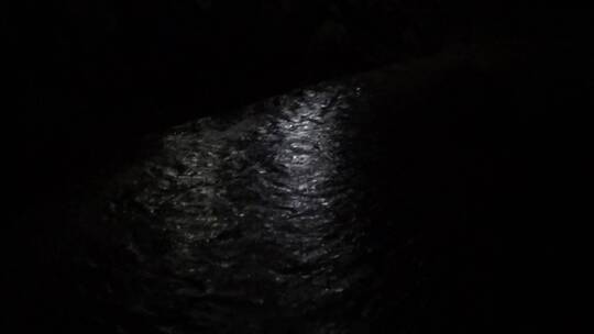 夜晚灯光照射在水面上