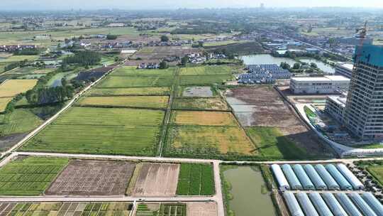 乡村田野与建筑并存的田园风光全景