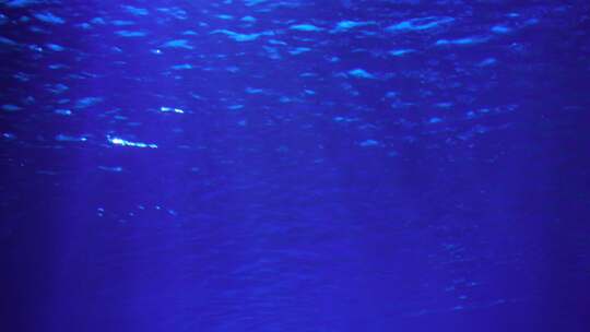 水中光影海底世界光影水中光线视频素材模板下载