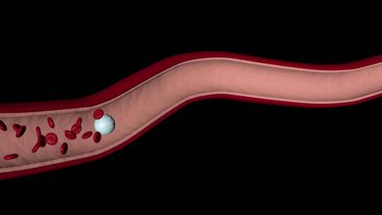 血管血液血小板医学3d动画视频