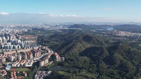 东莞市区黄旗山风光航拍