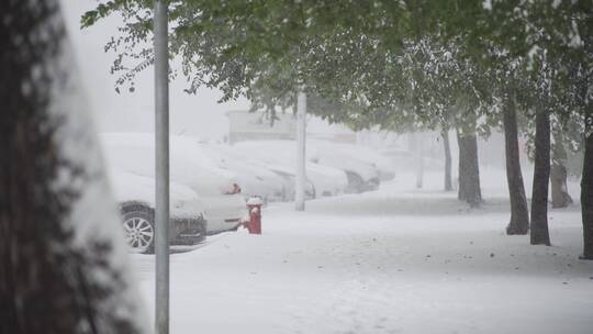 大雪纷飞