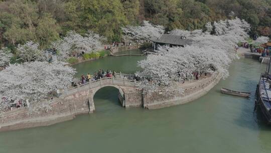 长春桥横移