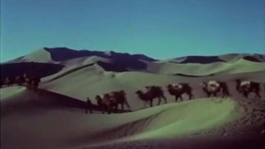 上世纪沙漠中的骆驼视频素材模板下载