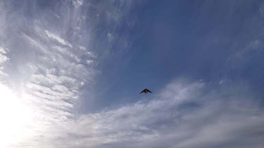 飞翔在蓝天里的风筝