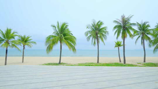 海边椰树沙滩 海滨公园 海南三亚