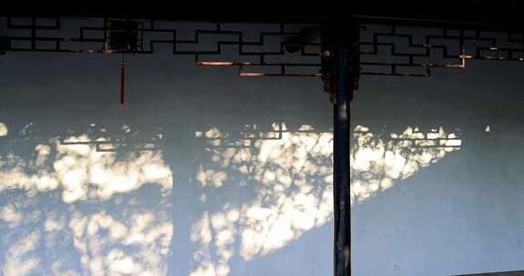 苏州园林拙政园 花窗屋檐光影中式园林