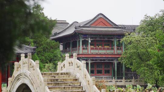 中式园林古莲花池雨景