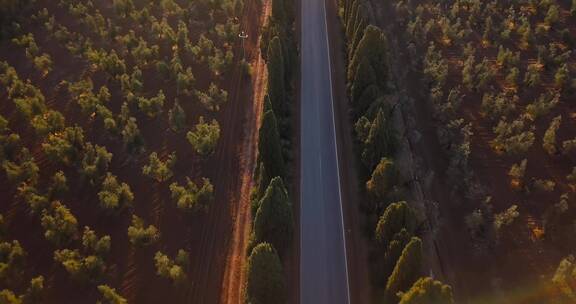 航拍林间的道路