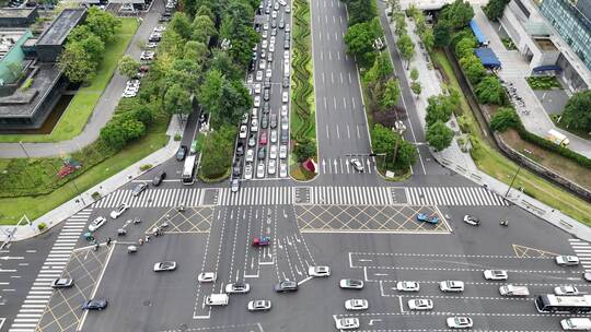 俯拍城市大道绿化植物车辆行驶