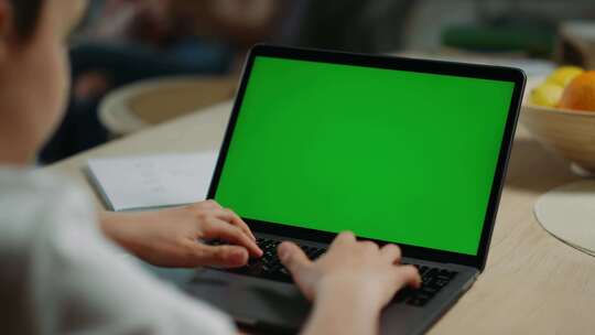 笔记本电脑，绿屏，男孩，在线