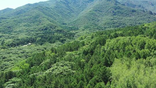 【航拍】乡村振兴新农村  绿水青山