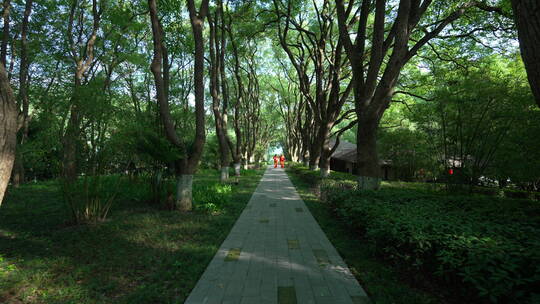 武汉东湖风景区湖北书画院