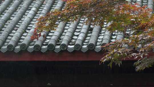 重庆雨季下雨屋檐实拍