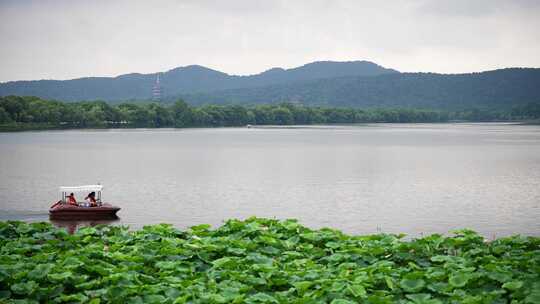 夏天杭州西湖景区