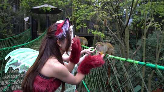 cosplay美女在碧峰峡野生动物园做活动