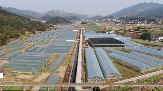 航拍春耕农田农业大棚种植基地农作物